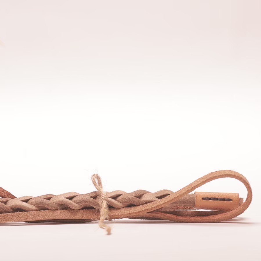 03A63CA3-E908-4D32-BE59-419604F87E2F 皮革逗貓繩