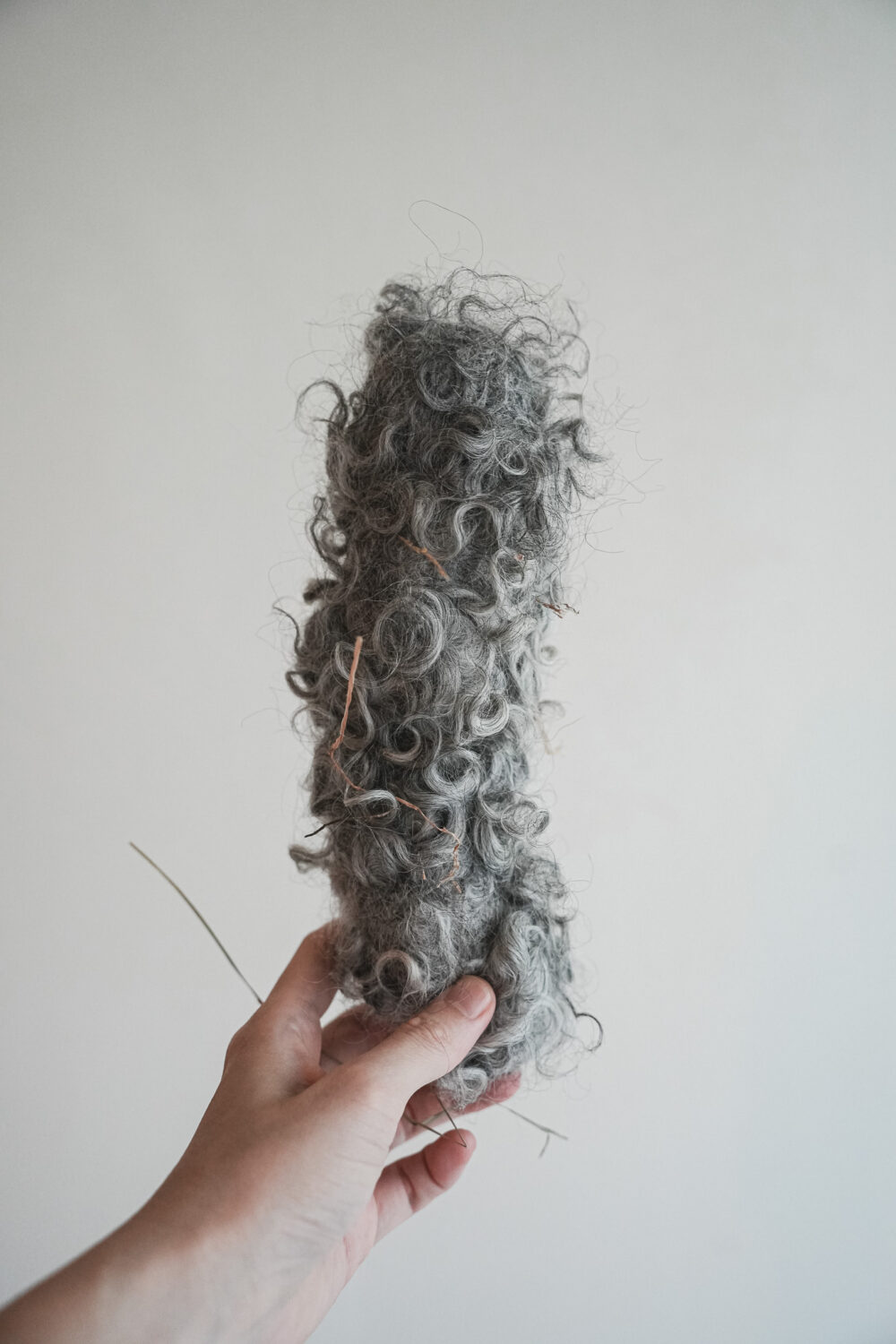 DSC00024 手工羊毛香腸