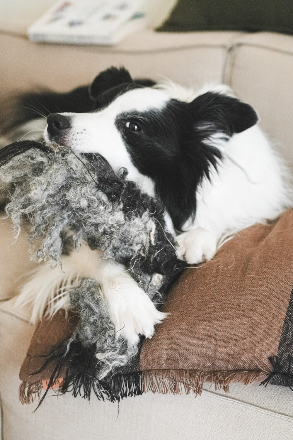 DSC07725 手工羊毛香腸