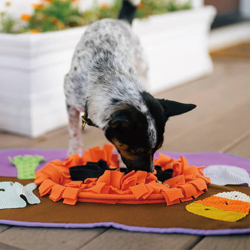 P.L.A.Y.嗅聞墊-萬聖派對