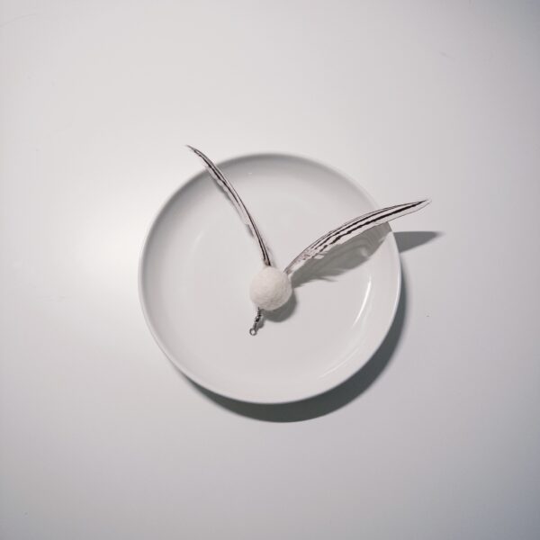 46｜旋轉金探子