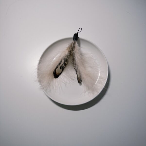 37｜維多利亞的秘密