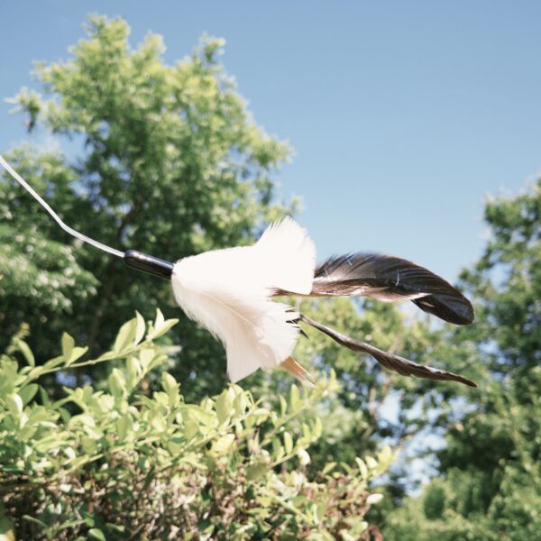 fxn 2025-05-30 144809.753 Vee逗貓棒-火舞(爆毛款)