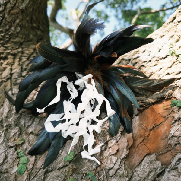 fxn 2025-05-30 145525.836 Vee逗貓棒-超級火花(聲音款)