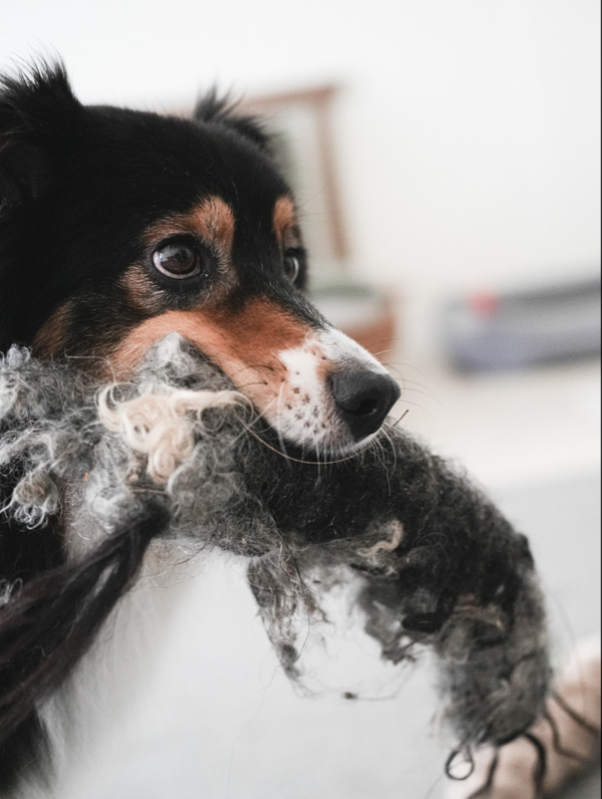 螢幕擷取畫面 2026-03-13 113021 手工羊毛香腸