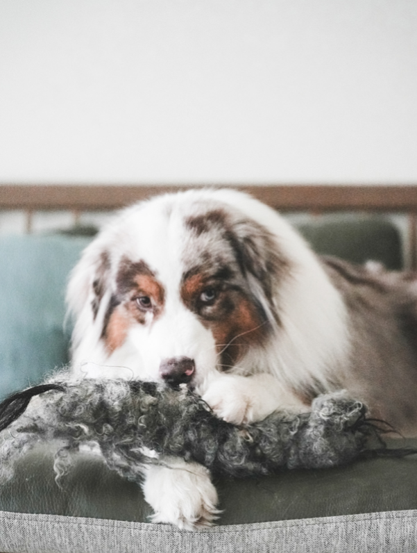 螢幕擷取畫面 2026-03-13 113030 手工羊毛香腸