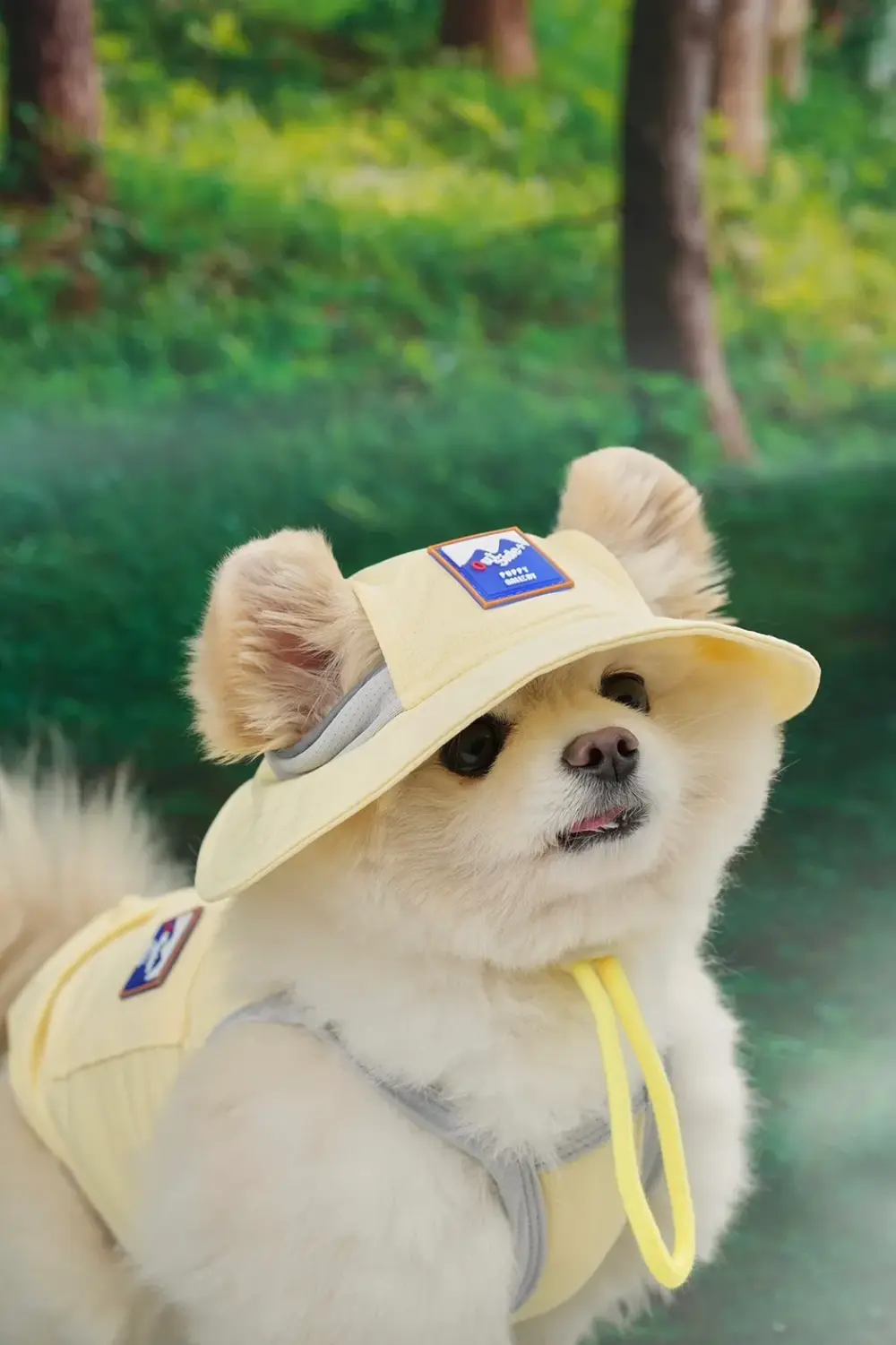 Puppy Gallery🇰🇷 外出涼感背心 小雞黃