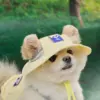 Puppy Gallery🇰🇷 外出涼感背心 小雞黃
