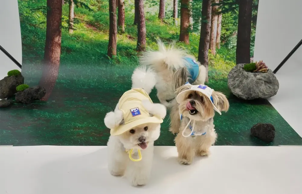 Puppy Gallery🇰🇷 外出涼感背心 小雞黃