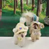 Puppy Gallery🇰🇷 外出涼感背心 小雞黃