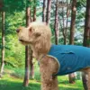 Puppy Gallery🇰🇷 外出涼感背心 海軍藍