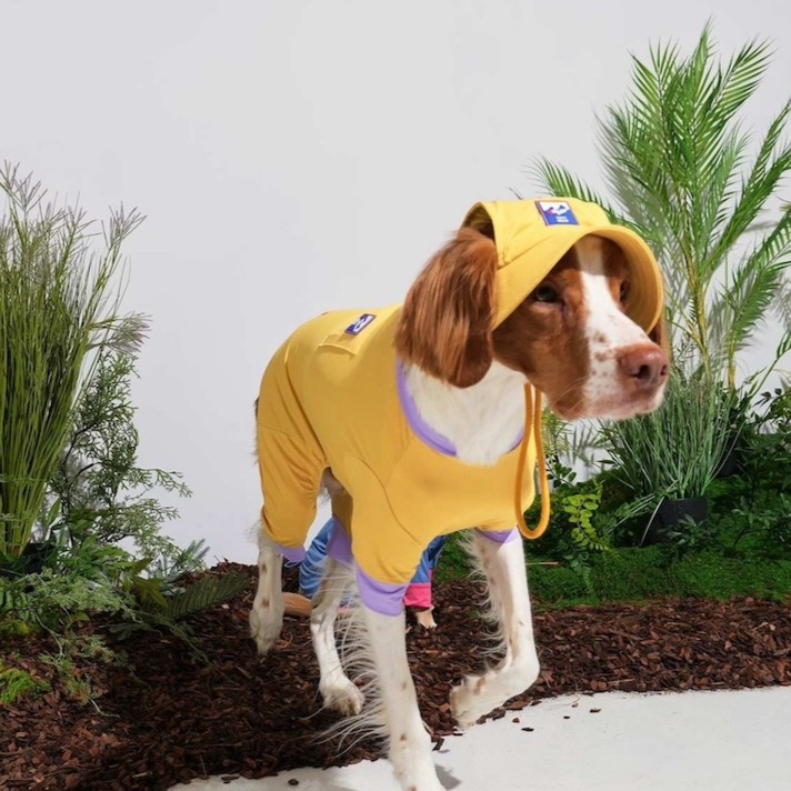 Puppy Gallery🇰🇷 涼感漁夫帽 芥末黃