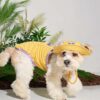 Puppy Gallery🇰🇷 涼感漁夫帽 芥末黃