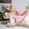 Puppy Gallery🇰🇷 涼感漁夫帽 暗粉