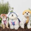 Puppy Gallery🇰🇷 涼感漁夫帽 暗粉