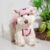 Puppy Gallery🇰🇷 涼感漁夫帽 暗粉