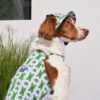 Puppy Gallery🇰🇷 跳跳熊涼感漁夫帽 紫