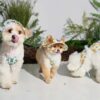 Puppy Gallery🇰🇷 跳跳熊涼感漁夫帽 紫