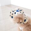 Puppy Gallery🇰🇷 豹紋涼感漁夫帽 象牙白