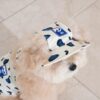 Puppy Gallery🇰🇷 豹紋涼感漁夫帽 象牙白