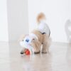 Puppy Gallery🇰🇷 涼感漁夫帽 藍白