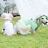 Puppy Gallery🇰🇷 涼感漁夫帽 蘋果綠