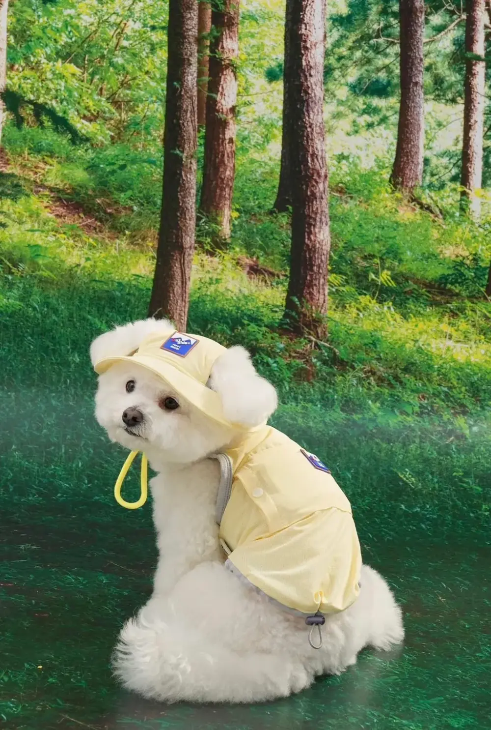 Puppy Gallery🇰🇷 涼感漁夫帽 小雞黃