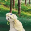 Puppy Gallery🇰🇷 涼感漁夫帽 小雞黃