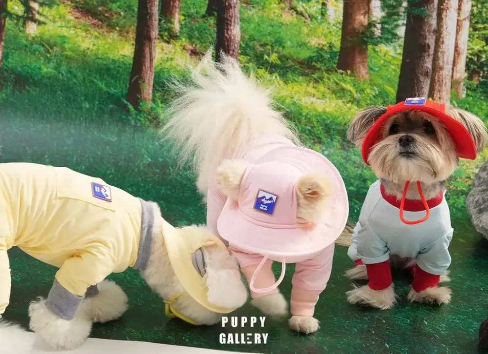 Puppy Gallery🇰🇷 涼感漁夫帽 櫻花粉