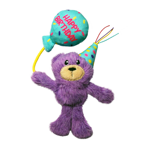 KONG 生日泰迪熊
